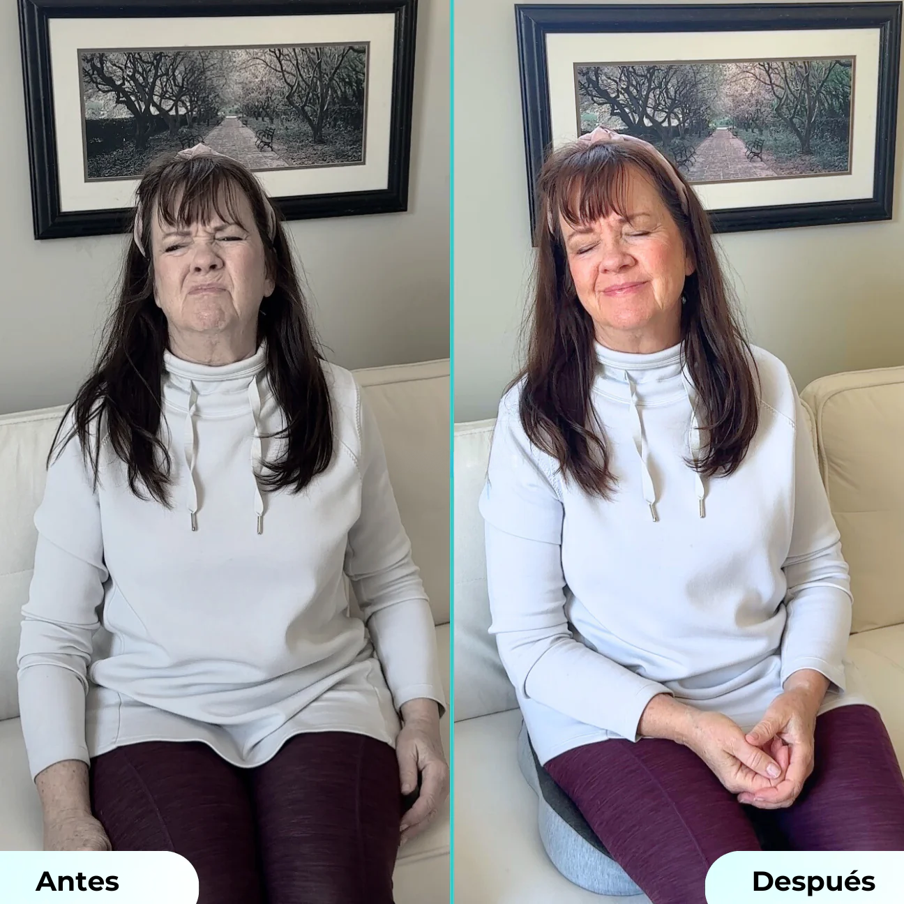 Cojín para Asiento Alivio+